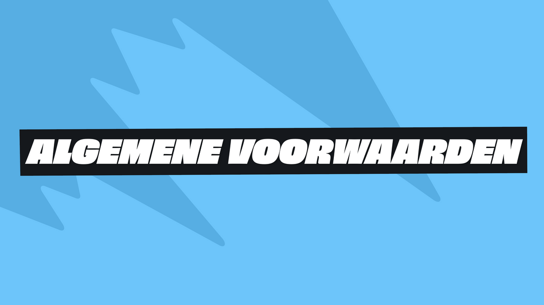Algemene voorwaarden